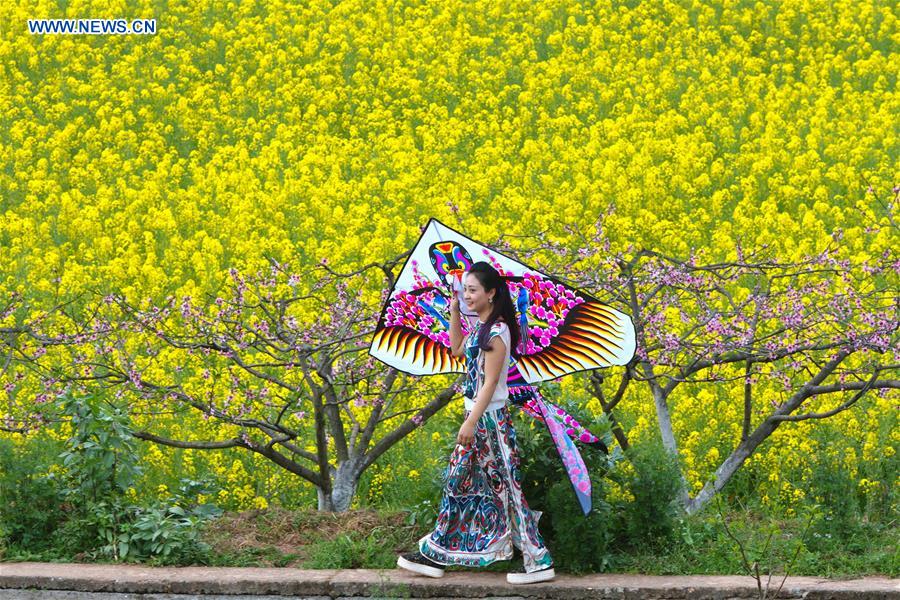 #CHINA-SICHUAN-PEACH BLOSSOM(CN)