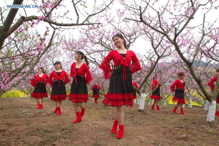 #CHINA-SICHUAN-PEACH BLOSSOM(CN)