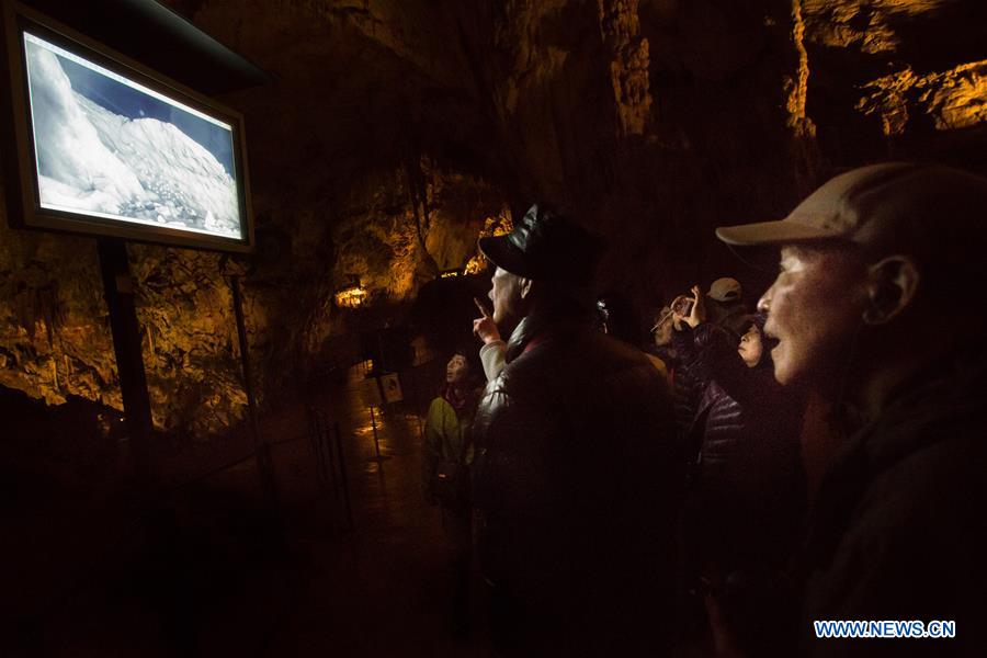 SLOVENIA-POSTOJNA CAVE-OLM-HATCH