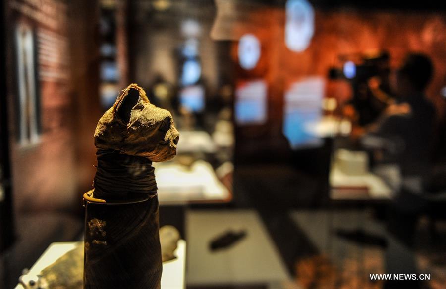 U.S.-CALIFORNIA-MUMMIES-EXHIBITION