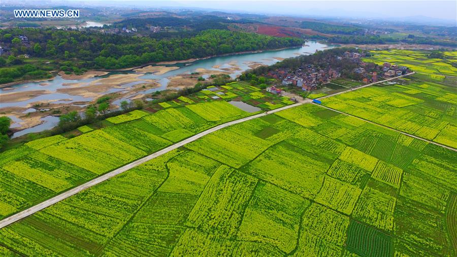 #CHINA-HUNAN-SPRING SCENERY (CN)