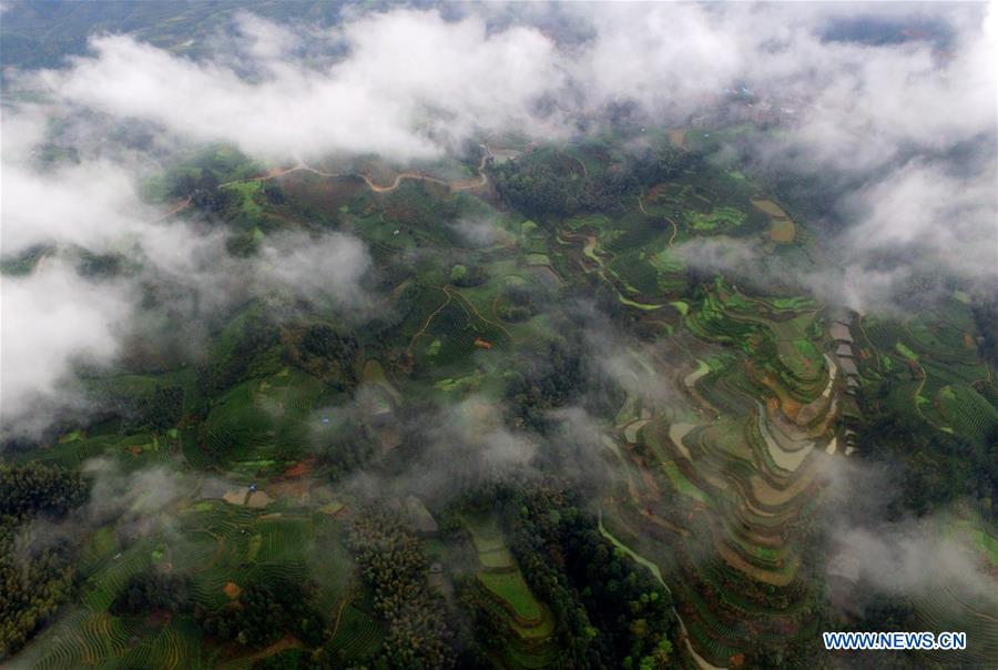 #CHINA-GUANGXI-LANDSCAPE (CN)