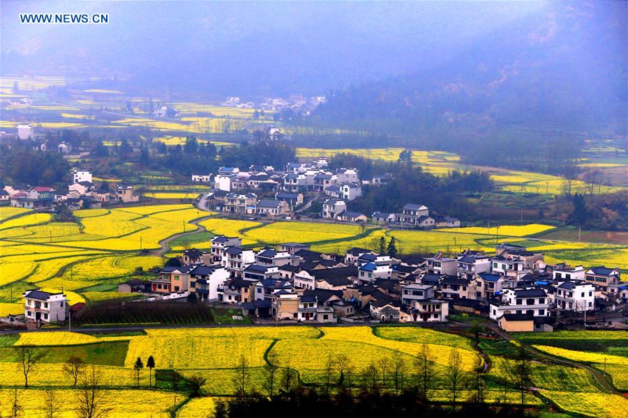 #CHINA-ANHUI-HUANGSHAN-SCENERY (CN)
