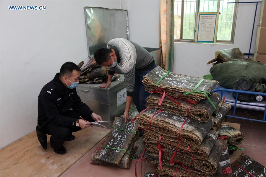 #CHINA-HAINAN-CUSTOMS-PYTHON SKIN SMUGGLING (CN)