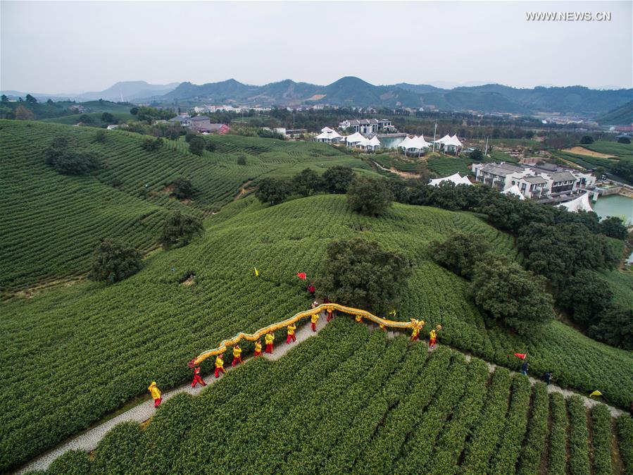 Tea farmers perform dragon dance to celebrate harvest season at a Baicha green tea garden in Xilong Township of Anji County, east China's Zhejiang Province, March 23, 2016.