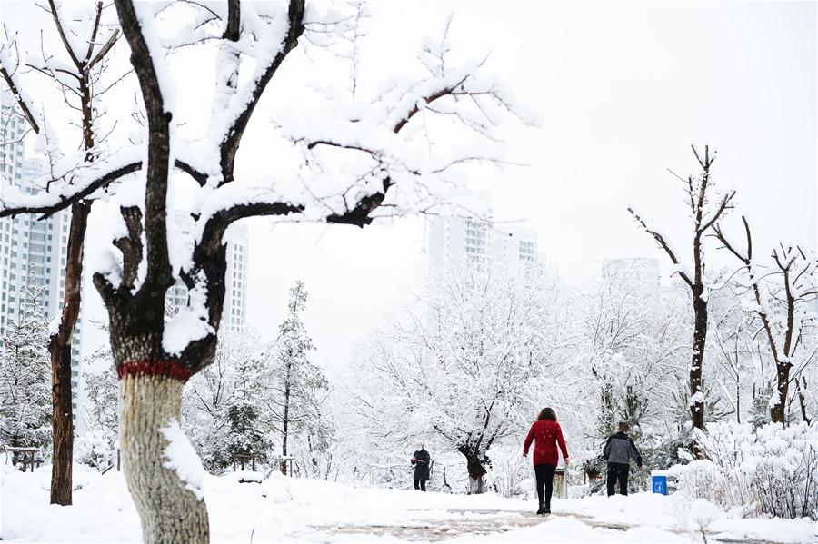 CHINA-QINGHAI-XINING-SNOW(CN)