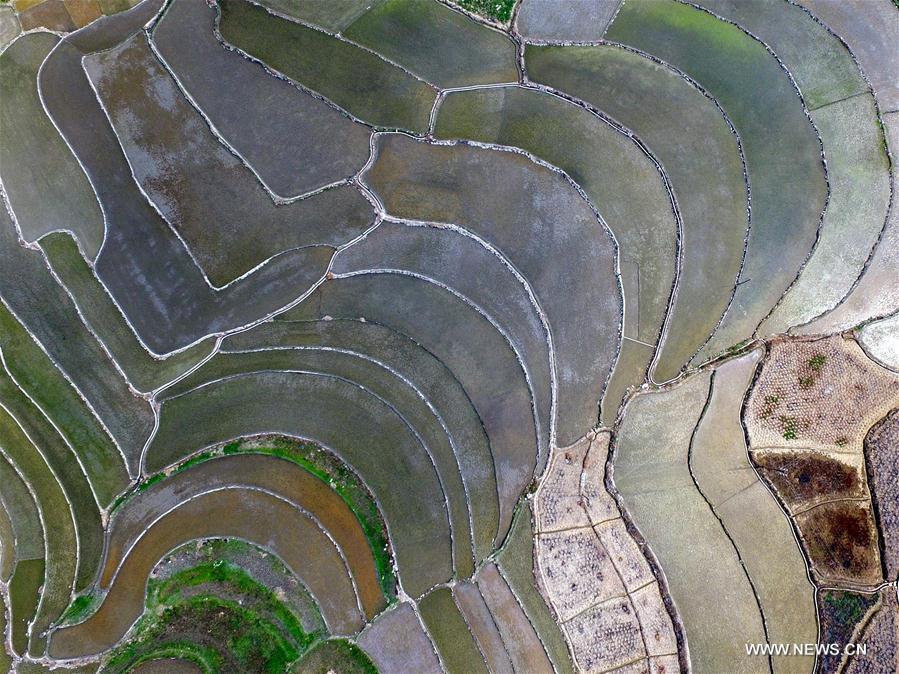 #CHINA-GUANGXI-BOSE-FARMING (CN)