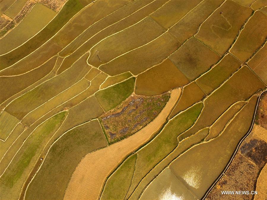 #CHINA-GUANGXI-BOSE-FARMING (CN)