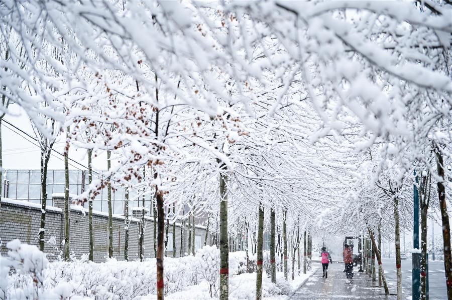 CHINA-QINGHAI-XINING-SNOW(CN)