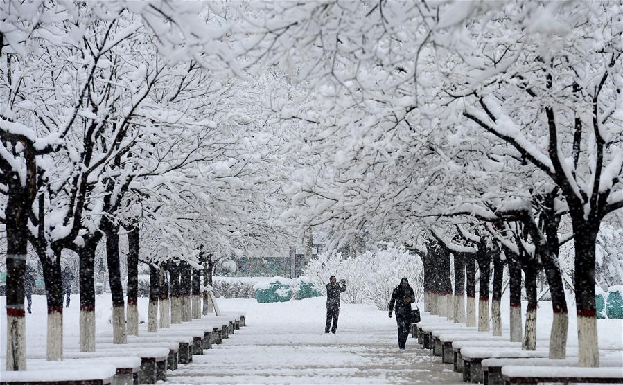 CHINA-QINGHAI-XINING-SNOW(CN)