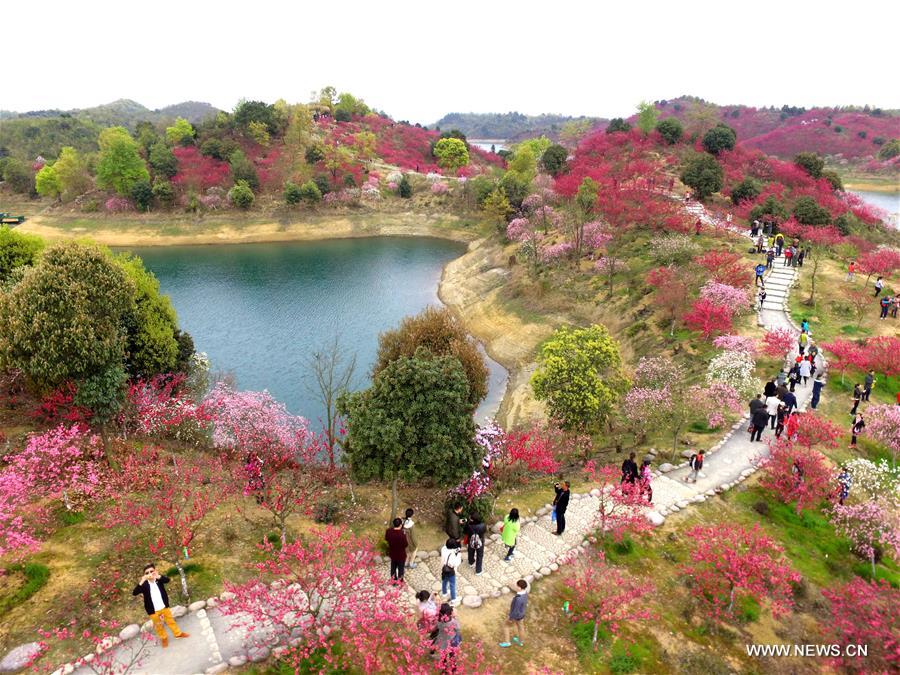 Flowers are in full bloom at Xihai Huayuan Valley scenic spot on the Lunshan Mountain in Wuning County, east China's Jiangxi Province, March 26, 2016