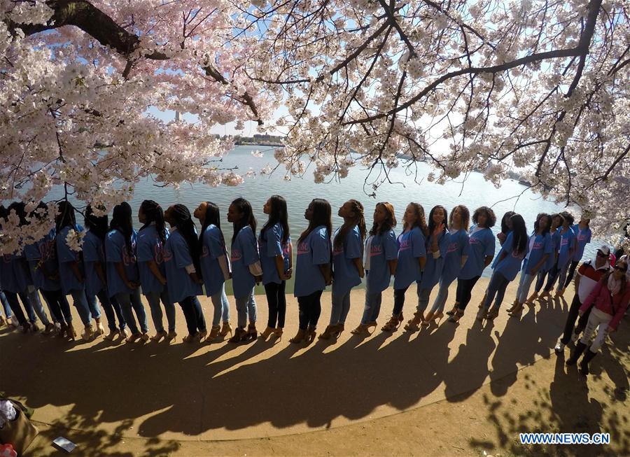 Washington Monument is seen through cherry blossoms on the edge of the Tidal Basin in Washington D.C., capital of the United States, March 26, 2016.