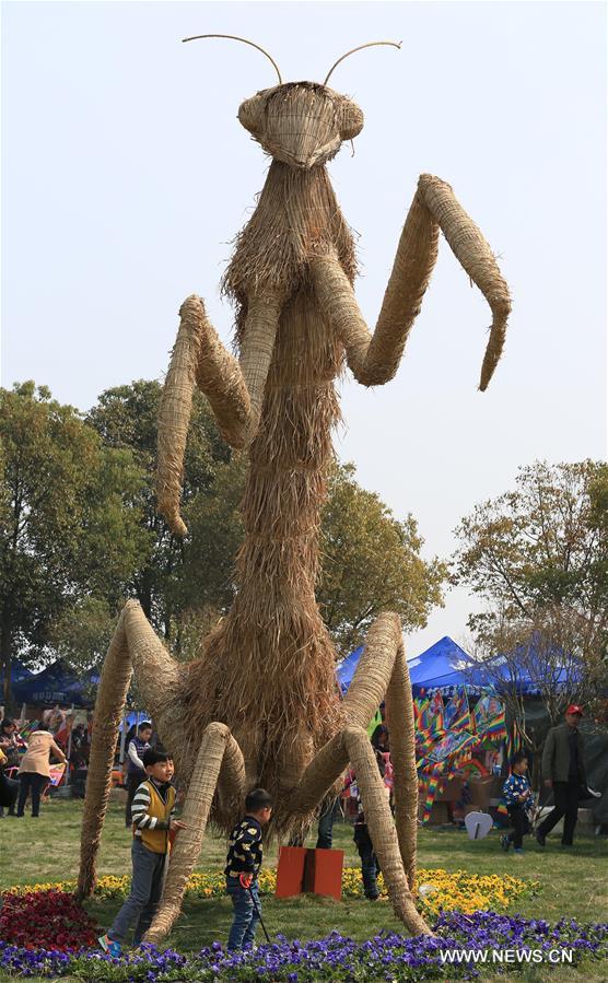 Photo taken on March 26, 2016 shows a straw-made mantis during a tourism festival in Nanjing, capital of east China's Jiangsu Province.