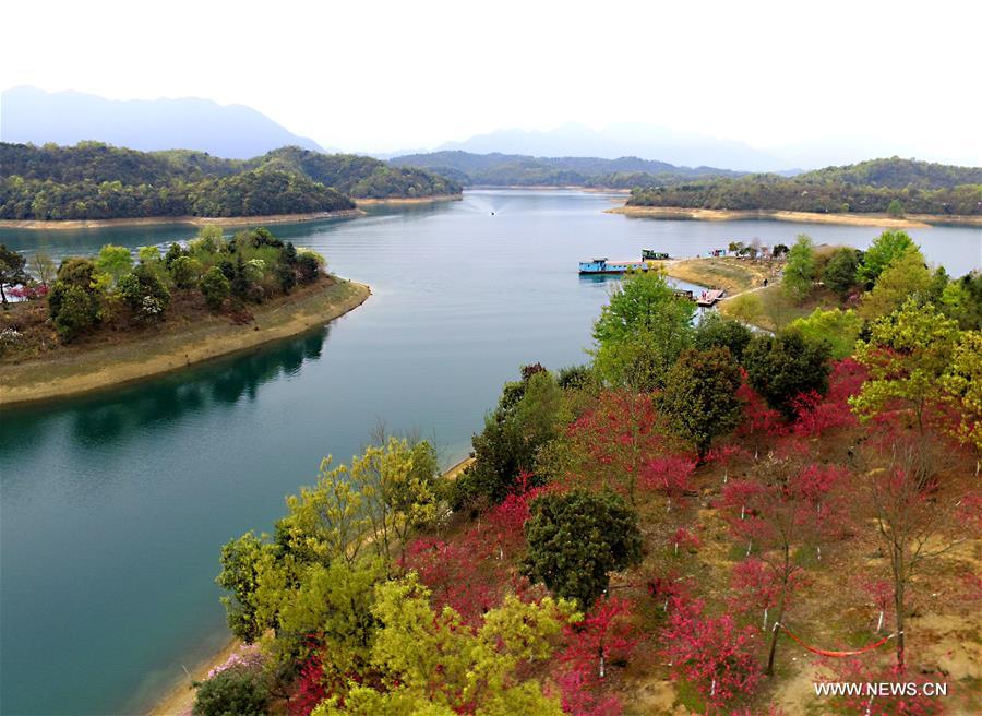 Flowers are in full bloom at Xihai Huayuan Valley scenic spot on the Lunshan Mountain in Wuning County, east China's Jiangxi Province, March 26, 2016