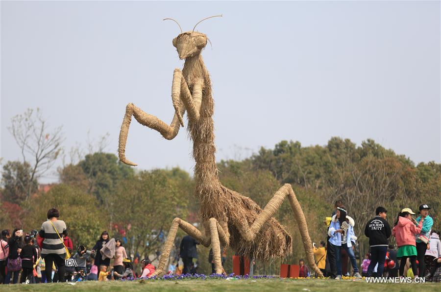 Photo taken on March 26, 2016 shows a straw-made mantis during a tourism festival in Nanjing, capital of east China's Jiangsu Province.