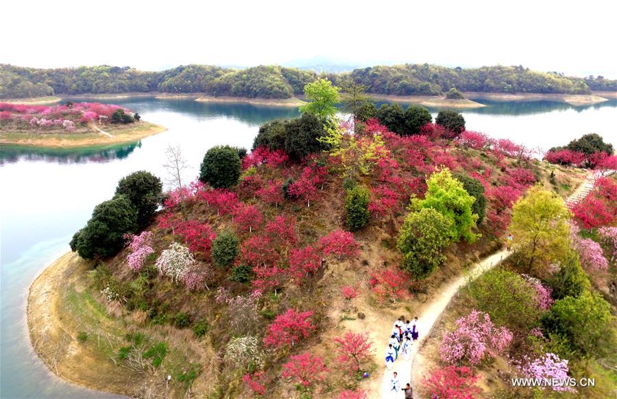 Flowers are in full bloom at Xihai Huayuan Valley scenic spot on the Lunshan Mountain in Wuning County, east China's Jiangxi Province, March 26, 2016