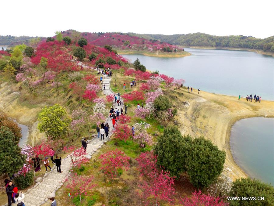 Flowers are in full bloom at Xihai Huayuan Valley scenic spot on the Lunshan Mountain in Wuning County, east China's Jiangxi Province, March 26, 2016