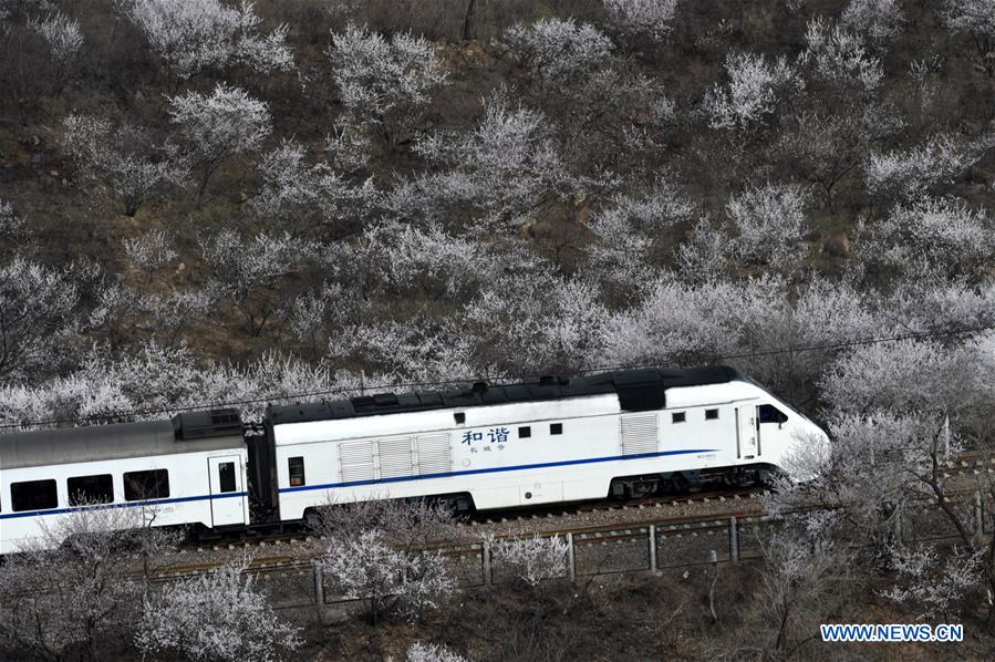 CHINA-BEIJING-TRAIN (CN)