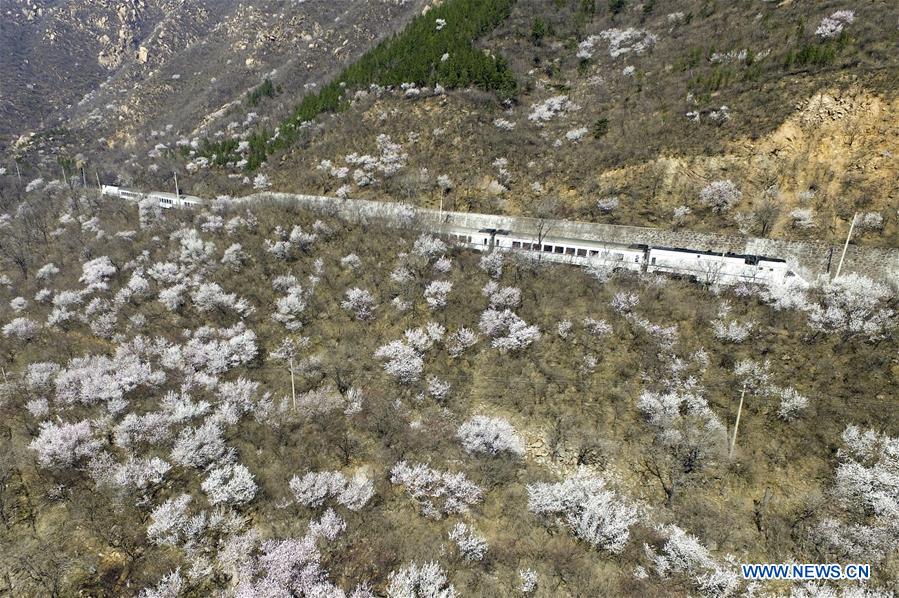 CHINA-BEIJING-TRAIN (CN)