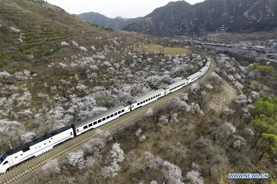 CHINA-BEIJING-TRAIN (CN)