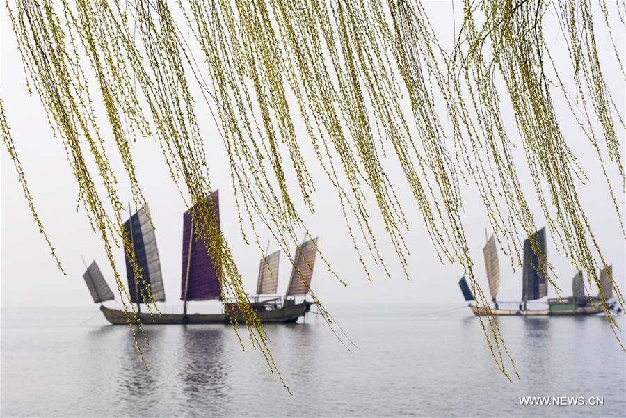 Boats sail on the Taihu Lake in Wuxi, east China's Jiangsu Province, March 28, 2016