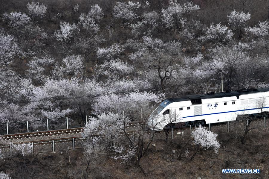 CHINA-BEIJING-TRAIN (CN)