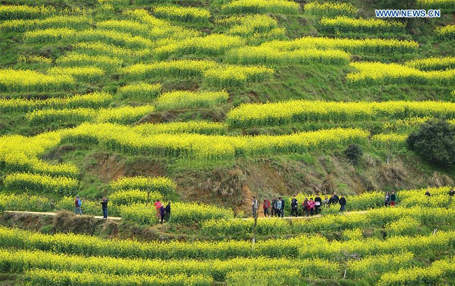 CHINA-JIANGXI-WUYUAN-HUANGLING SCENIC SPOT(CN)