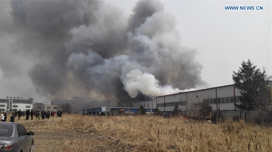 CHINA-JILIN-CHANGCHUN-FIRE(CN)