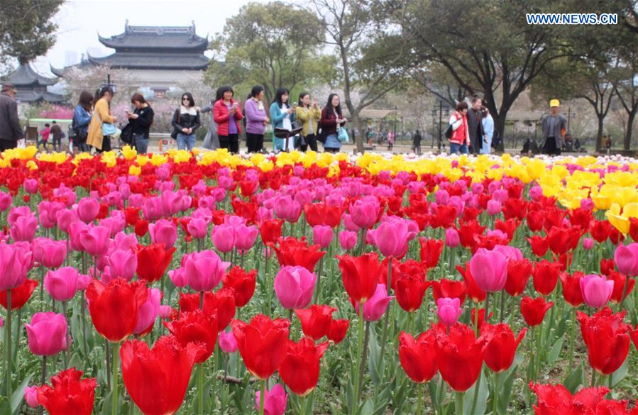 #CHINA-JIANGSU-SUZHOU-SPRING SCENERY (CN)