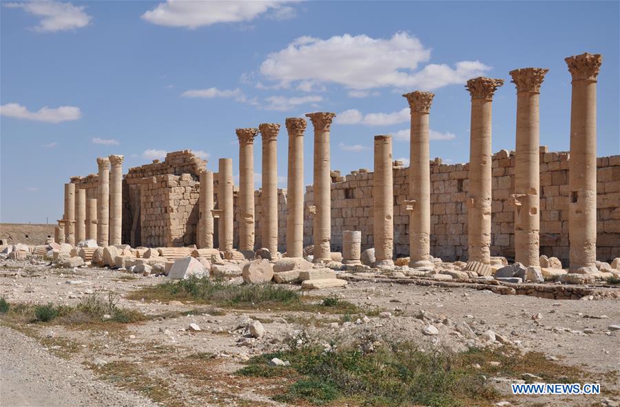 Partially damaged ancient columns are seen at the National Museum in the ancient oasis caravan city of Palmyra in central Syria on March 31, 2016.