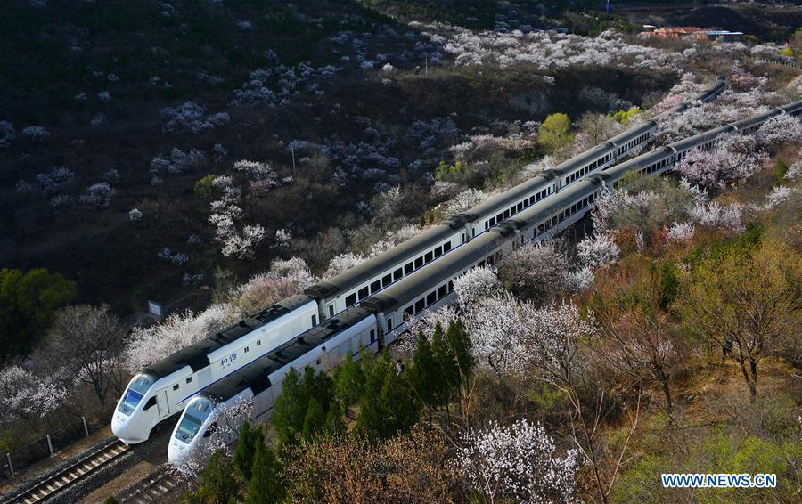 #CHINA-BEIJING-JUYONGGUAN-SPRING SCENERY (CN)