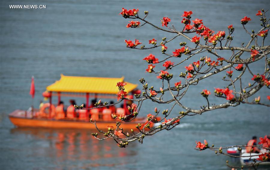 CHINA-SPRING-SCENERY-COLORS (CN)