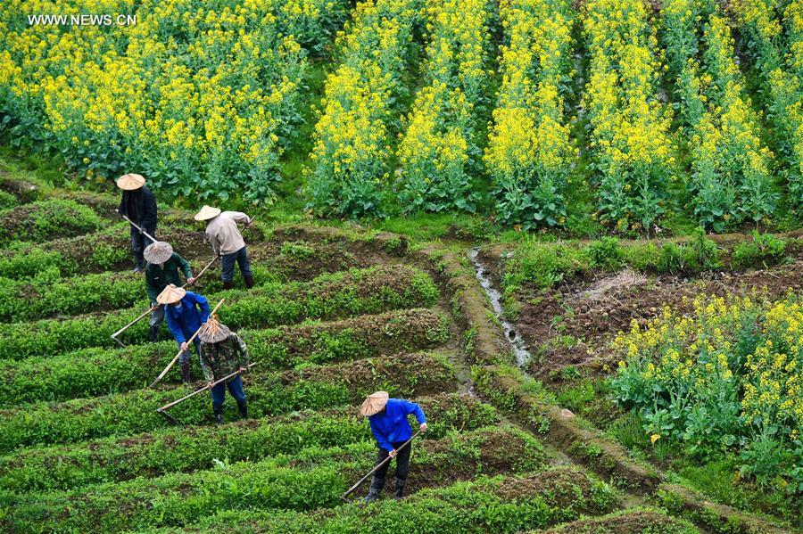 CHINA-SPRING-SCENERY-COLORS (CN)