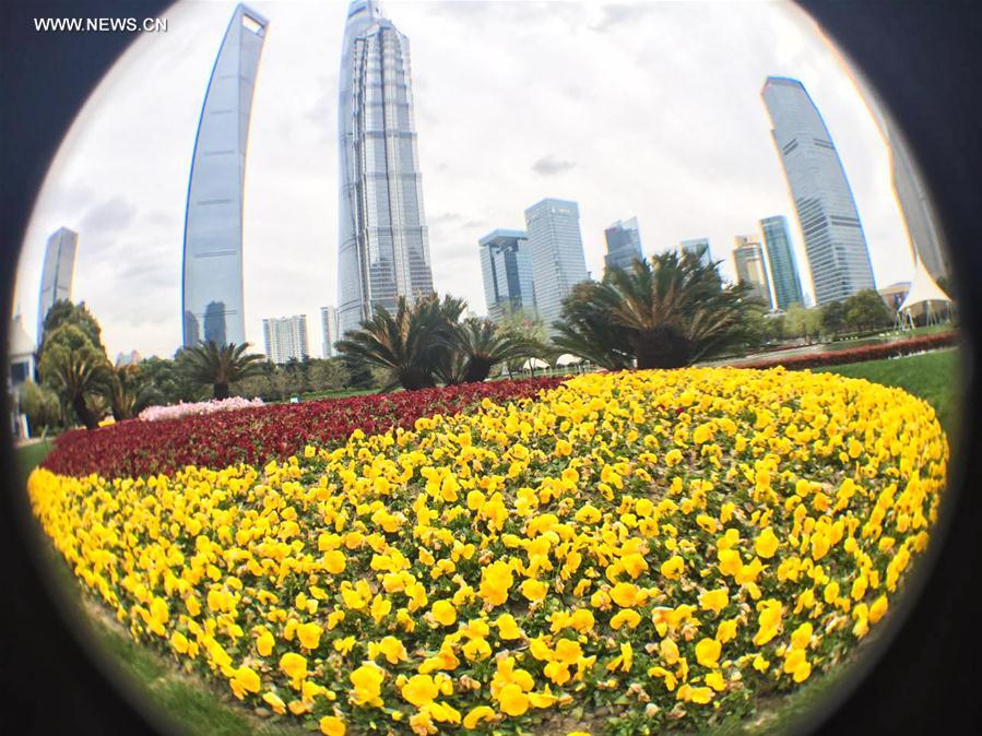 CHINA-SPRING-SCENERY-COLORS (CN)