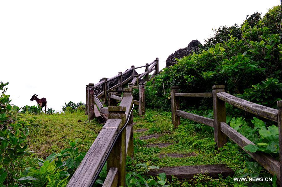 CHINA-TAIWAN-LANYU ISLAND (CN)