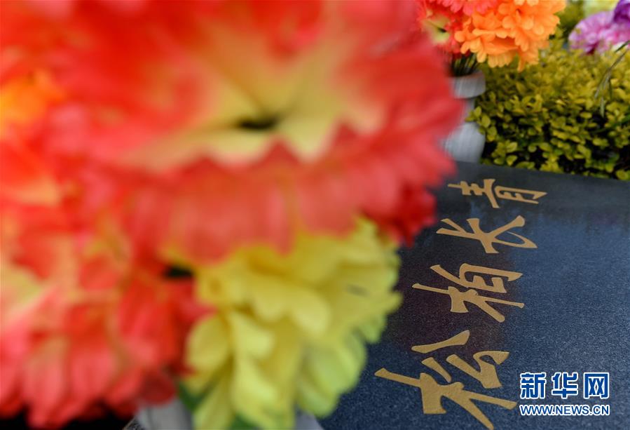 绿色祭扫成风尚花祭亲人托哀思