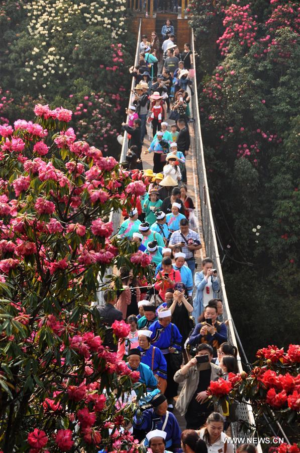 About 125-square-kilometer Azalea in the scenic area has entered full blossom season recently, drawing a lot of tourists during the qingming festival holiday.