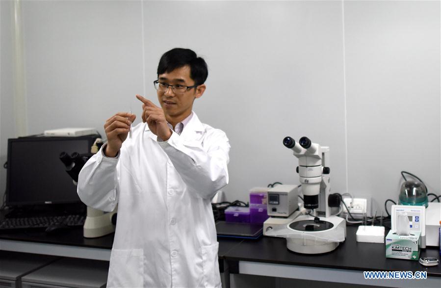 CHINA-GUANGDONG-GENE-EDITORS (CN)