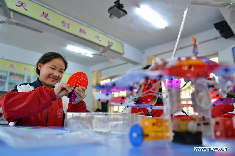 CHINA-HEBEI-EDUCATION-ROBOT (CN)