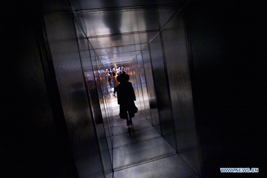 A visitor looks at an artwork 'Double Neon Elevator', part of the exhibition 'Doubt' in Milan, Italy, on April 6, 2016. 