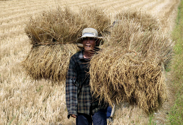 China's water release helping Vietnam