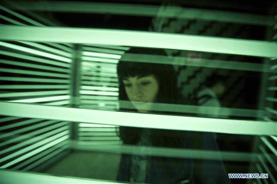 A visitor looks at an artwork 'Double Neon Elevator', part of the exhibition 'Doubt' in Milan, Italy, on April 6, 2016. 