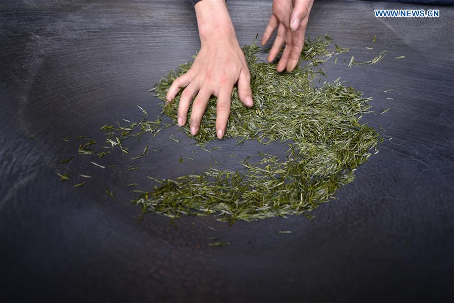 #CHINA-HUBEI-TEA MAKING (CN)