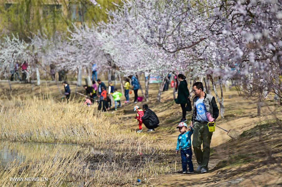 People visit Qingcheng Park in Hohhot, north China's Inner Mongolia Autonomous Region, April 9, 2016.