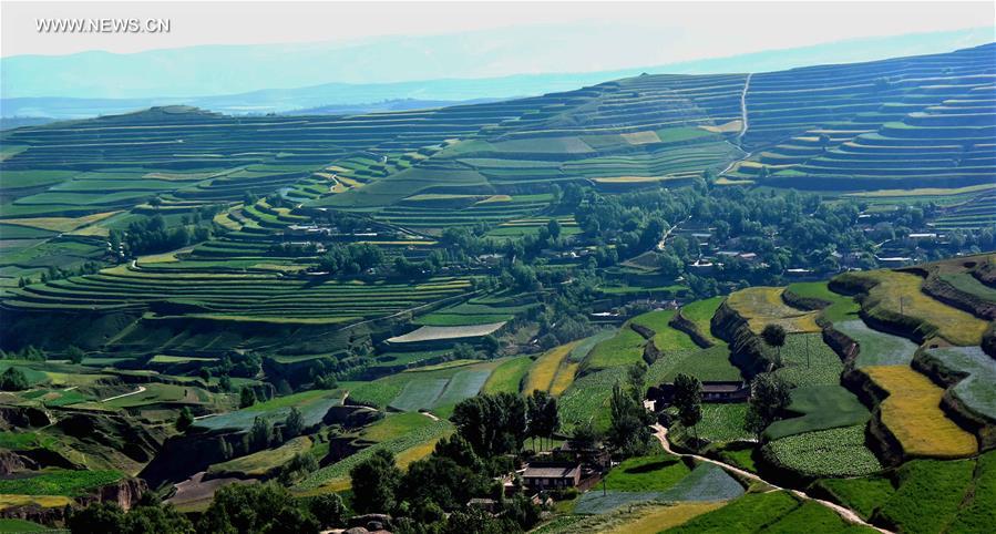CHINA-TERRACED FIELDS-SCENERY (CN)