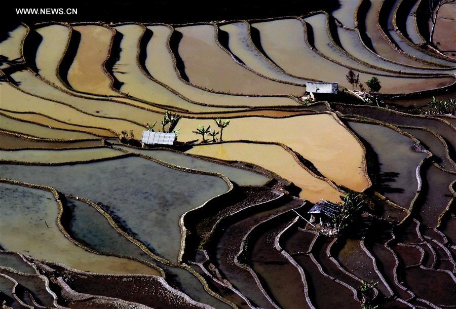 CHINA-TERRACED FIELDS-SCENERY (CN)