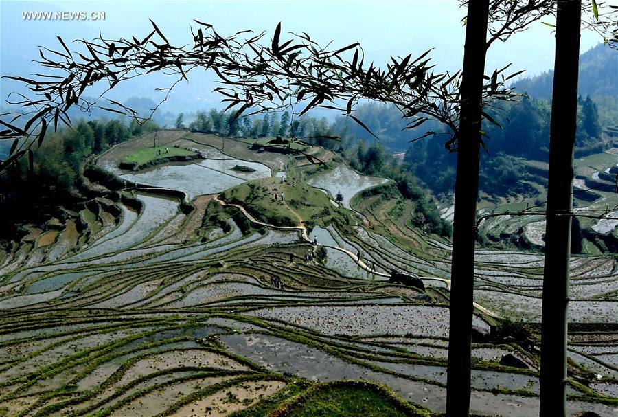 CHINA-TERRACED FIELDS-SCENERY (CN)