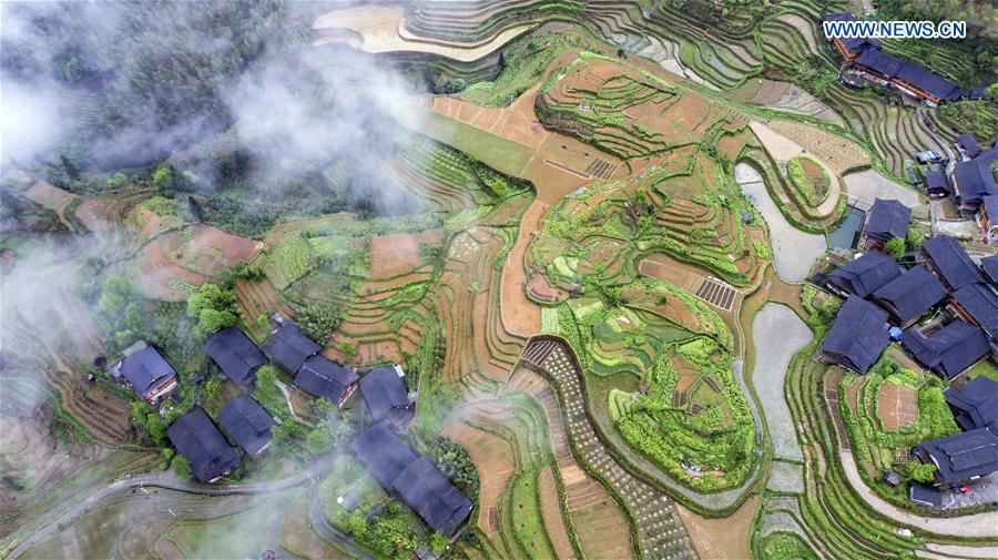 #CHINA-GUANGXI-TERRACED FIELD (CN)