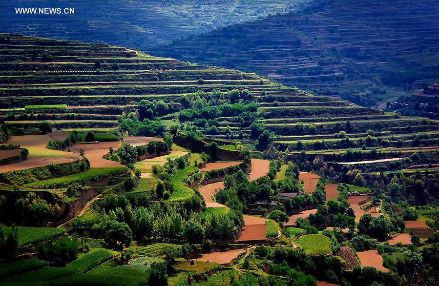 CHINA-TERRACED FIELDS-SCENERY (CN)