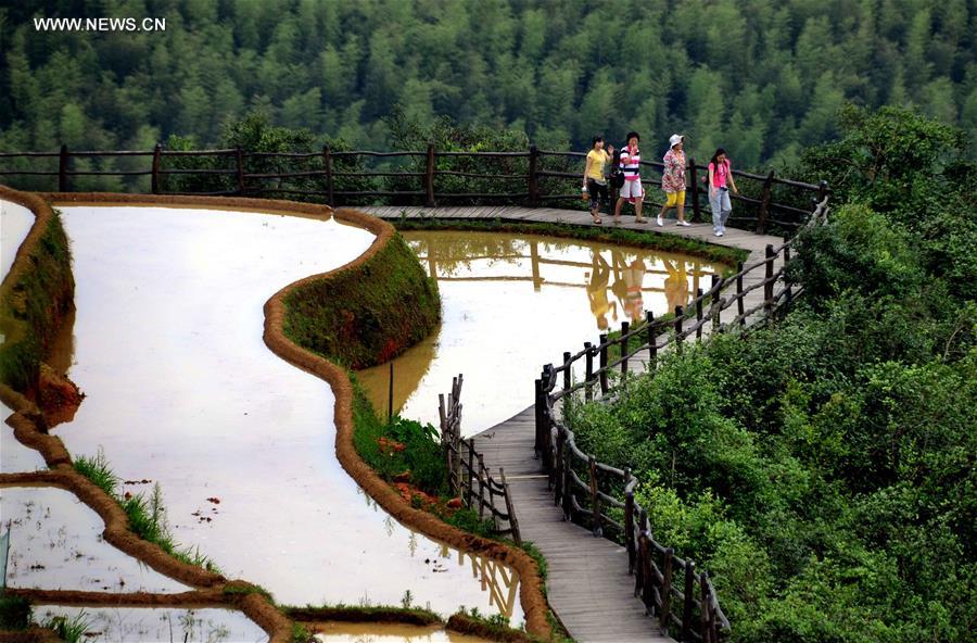 CHINA-TERRACED FIELDS-SCENERY (CN)